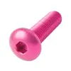 Tornillos de aleación de aluminio 7075 con cabeza semiredonda y hexágono interior, acabado anodizado color durazno, tornillos de hexágono interior, M3, M6
