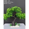 Decoração de Enfeite de Mesa Pinheiro Bem-vindo Pequeno Pinheiro Plantas Verdes Plantas Aquáticas Mini Rochedo Aquário Paisagismo Hotel