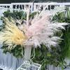 Nuevo pavo real escarcha escarcha paisajismo de boda flor de niebla simulación hierba de escarcha simulación arco de boda techo con flores