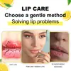 Exfoliante de Labios Mes del Oeste Bálsamo Labial Hidratante Humectante