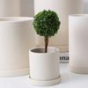 Maceta Cilíndrica Alta Arcilla Cruda Lisa Transpirable Absorbente de Agua Porcelana Plantas Verdes Flores Nórdico Simple Bricolaje Pintado a Mano