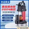 Bomba Sumergible CC Fengyuan 12V24V48V60V72V Riego Agrícola Elevación Alta Flujo Grande Bomba de Agua Nuevo Producto