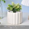 Vaso de Flores Cerâmico Branco Simples Criativo Vaso de Porcelana Branca Dehua Mini Suculenta Orquídea Phalaenopsis Pequeno Vaso Decorativo