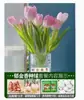 Venta al por mayor de 5 bulbos de tulipán en stock, florecen en todas las estaciones, fáciles de cuidar, adecuados para cultivo hidropónico, de pétalos dobles, para cultivo en tierra o maceta en el balcón