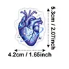 50 Pegatinas Coloridas de Corazón Anatómico, Graffiti Personalizado de Órganos Humanos Pegatinas Decorativas Impermeables para Maleta Cuaderno