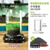Acuario Ecológico Acuario Hierba Acuática Micro Paisaje a Hoja Huevo de Dragón Vidrio Planta Verde diy Pequeño Hidropónico Casero de Escritorio