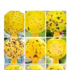 Bolas Armadilha para Moscas, Extra Pegajosas, Impermeáveis, para Moscas-das-Frutas Grandes, Vespas, Pomares de Melão, Estufas, Bolas Pegajosas para Insetos, Amarelo-Verde, Disponíveis para Atacado Transfronteiriço de Fabricantes