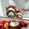 Fun-Jd164 Gato e Rato Usando Chapéus de Natal Decoração de Casa Porta de Vidro Adesivos de Janela Atacado UV