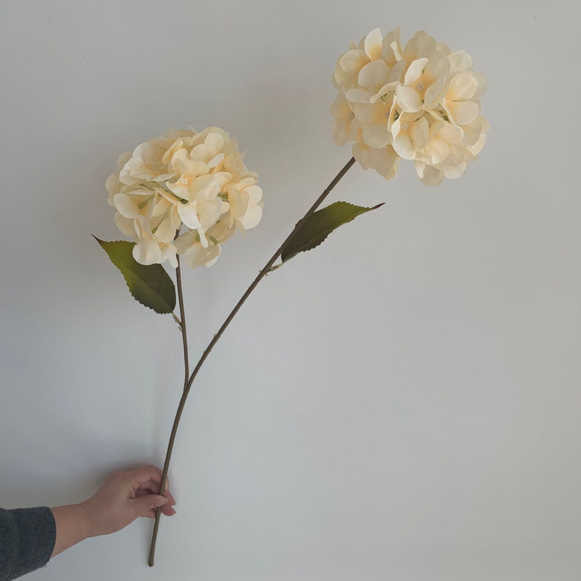 c2b0d048be283d72a26853fc3041b7