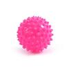 Bola de Massagem Esportes Domésticos Bola de Fáscia Fitness PVC Bola de Yoga para Bebê Crianças Bola de Ouriço para Bebê ao Ar Livre Atacado