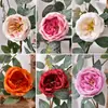 Enredaderas de rosas artificiales Austin, flores falsas para decoración suave de interiores, decoraciones de techo y revestimiento de conductos de aire acondicionado, al por mayor para decoraciones de boda