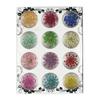 Joyería para uñas traje de flor seca grande 12 colores decoración flor tridimensional uñas pegatinas de plantas doce rejillas flores reales