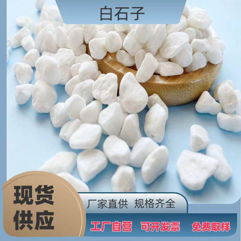 e17aba44573dd2644393957e7711ae