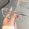 Estilo de Gama Alta Se Puede Combinar con Gafas Graduadas para Miopía, Fotocromáticas Gris a Café, Mismo Estilo que las Celebridades de Internet, Gato Retro de Venta Caliente para Maquillaje Sencillo
