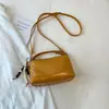 Bolso Pequeño Tejido de Verano para Mujer 2026 Alta Apariencia Nuevo Bolso Cruzado Elegante Bolso de Mano Bolso Almohada Bolso Pequeño de Mano para Mujer