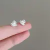 Brincos Estéreo Rosa Amorosos para Mulheres, Design Pequeno e Exquisito, Brincos de Alta Qualidade, Brincos Versáteis e Simplesmente Elegantes
