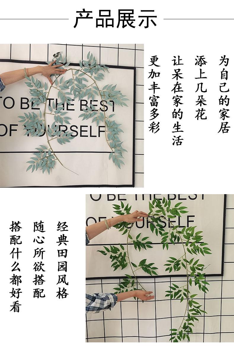 产品展示1