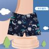 Bañadores Nuevos Estilo para Niños con Cordón, Forro Cómodo, Adecuados para Niños Pequeños, Medianos y Grandes, Playa, Aguas Termales, Traje de Baño para Vacaciones
