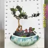 Bonsái de Abeto Australiano Sala de Estar Oficina Forma Plantas Verdes Florales Maceta Pino Perenne Plantas en Maceta Enviado desde la Base de Guangzhou