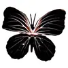 Cabeza de Flor de Mariposa de Goma Suave de Plástico, Decoración del Hogar con Flores Artificiales, Arreglo de Boda, Adornos al por Mayor, Decoración de Mesa para Exteriores