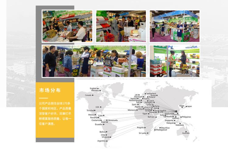 1688新店铺2详情页-恢复的_11