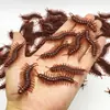 Modelo de cucaracha novedad Xiaoqiang truco divertido asqueroso aterrador cucaracha falsa juguete Halloween Día de los Inocentes accesorios
