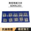 Herramienta de Fresado Cnc de Carburo 1504 Cnc Inserto de Fresado de 20 Grados Sekr1203Aftn