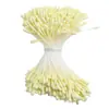 Transfronterizo 2 mm Aproximadamente 400 Piezas 170 Centros de Flor Mate Núcleo de Flor Flor Artificial Estambres de Yeso Rosa Lirio Materiales