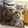 Funda de Cojín para Sofá Transfronteriza, Felpa Corta Amigable con la Piel, Linda Funda de Cojín de Animal Gato, Funda de Cojín para Sala de Estar, No Incluye Relleno