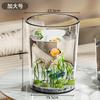 Tanque de Peces Simple Muy Transparente Resistente a Caídas Redondo Cubo para Cría de Peces Ligero como el Vidrio Pequeño Hierba Acuática Tortuga Cubo Práctico Cría de Peces