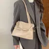 Nova Bolsa Plissada Nuvem com Design de Cinto, Bolsa Tote de Alta Qualidade para o Dia a Dia, Bolsa de Ombro Feminina Moda Coreana Transfronteiriça