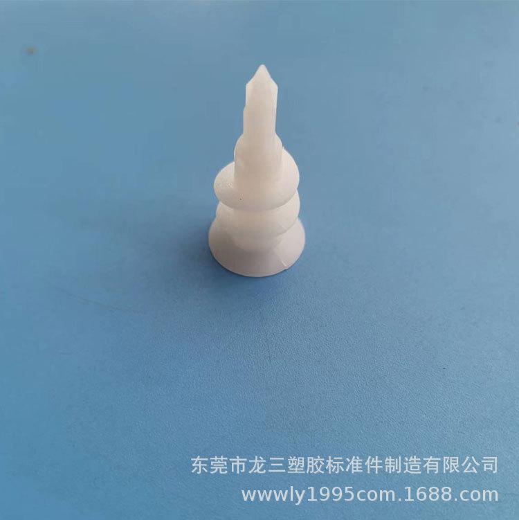螺旋壁虎15-1.jpg