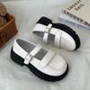 Zapatos Mary Jane de Cuero con una Correa Estilo Francés para Mujer, Nuevo Modelo Primavera 2026, Mocasines Versátiles de Suela Gruesa con Tacón Grueso Estilo Británico
