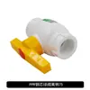 Válvula de Bola con Núcleo de Acero de Doble Unión PPR, Válvula de Bola Totalmente de Plástico, Válvula Oculta, Válvula de Cierre, Accesorios de Válvula para Tubería PPR de 204 mm