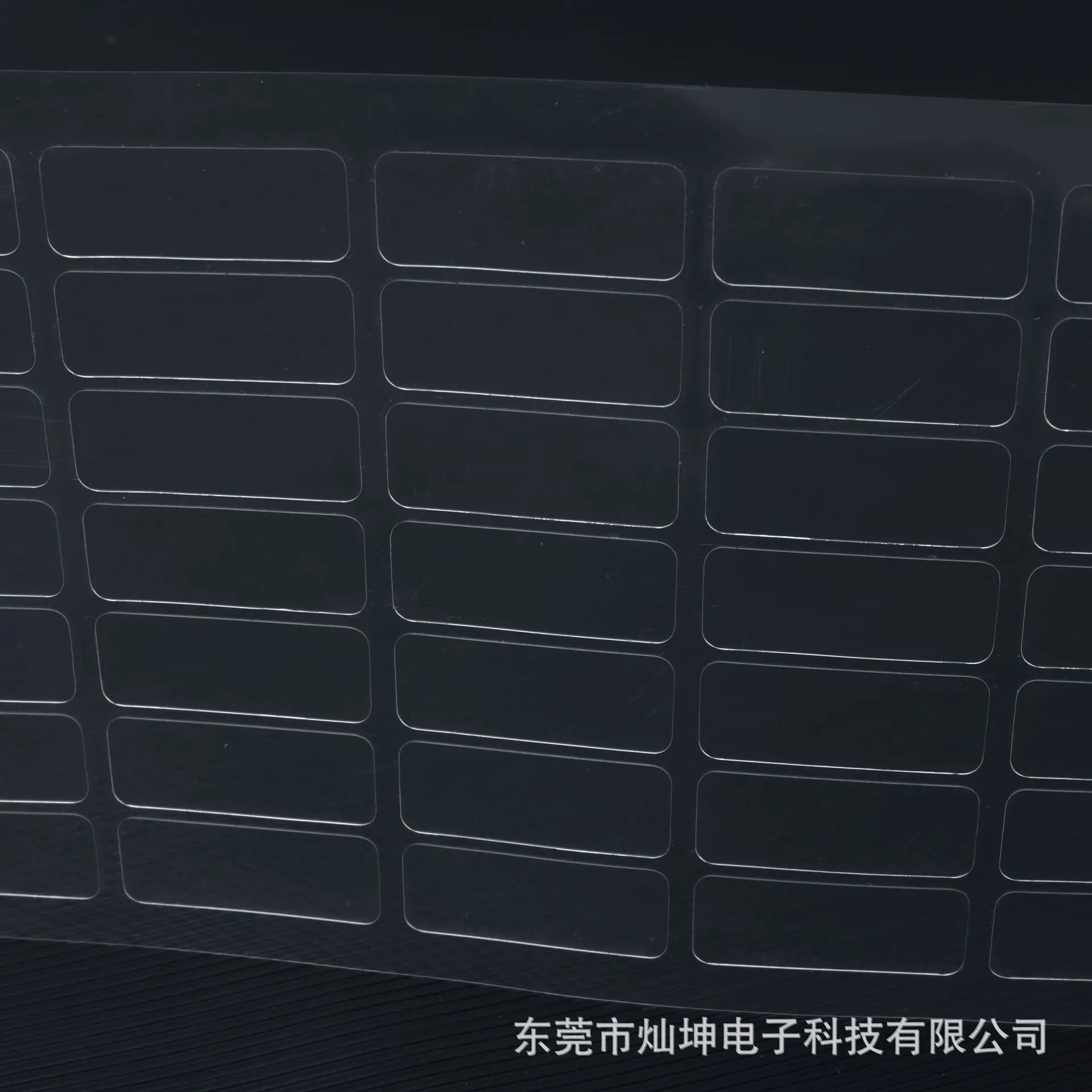 WANG0480-202503194.jpg
