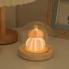 Kit de Materiais DIY Feito à Mão Concha Ouriço do Mar Luminária de Mesa para Quarto Decoração de Mesa Presente Criativo de Aniversário para Meninas