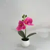 Mini 2 Plantas de Phalaenopsis de Plástico en Maceta Diseño de Patio Exterior Adornos de Flores Artificiales Fotografía de Boda Bonsái Decorativo