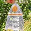 Enbolsado de Frutas, Enbolsado a Prueba de Insectos y Aves, Melocotón, Manzana, Guayaba y Pera Protección Especial Enbolsado de Árboles Frutales, Cubierta de Bolsa de Malla