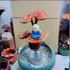 Entrega BásicaBonsai de Ganoderma Atmosférico e de Alta Qualidade Item de Presente Planta de Mesa Purifica o Ar Planta de Acúmulo de Virtude
