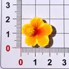 Accesorios de Resina Brillantes y Coloridos de Flor de Cinco Pétalos para DIY Zuecos Pinzas para el Cabello Gomas para el Cabello Fundas para Teléfono Imanes para Refrigerador Pegatinas Decorativas