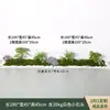 Combinación de plantas verdes artificiales tira larga paisajismo rincón de entrada interior jardinera adorno de planta centro comercial ventana musgo ornamental