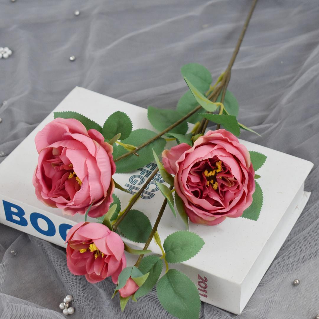 奥斯丁玫瑰粉红