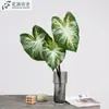Planta Verde Artificial Hoja de Alocasia Decoración Estilo Bosque de Boda Arreglo Planta Verde Hoja de Alocasia Muro de Plantas Alocasia Taro Caucho Blando
