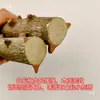 Mortero Hecho a Mano de Madera de Pimienta de Sichuan, Usado para Triturar Alimentos, Machacar y Moler