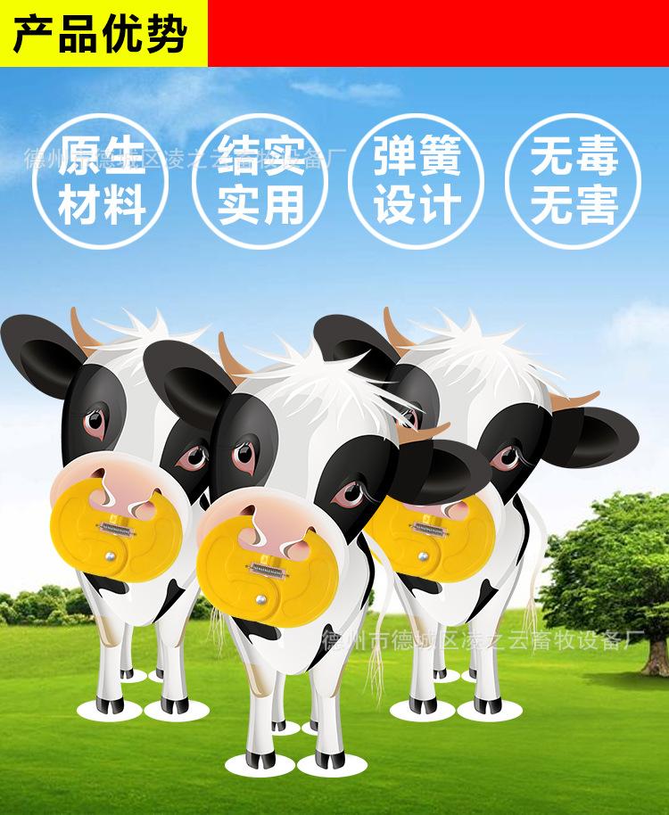 详情_05