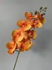 Tecido Mao Flor de Orquídea Phalaenopsis artificial casamento auditório display doméstico macio Modelo de Sala comércio exterior transfronteiriço orquídea flor falsa