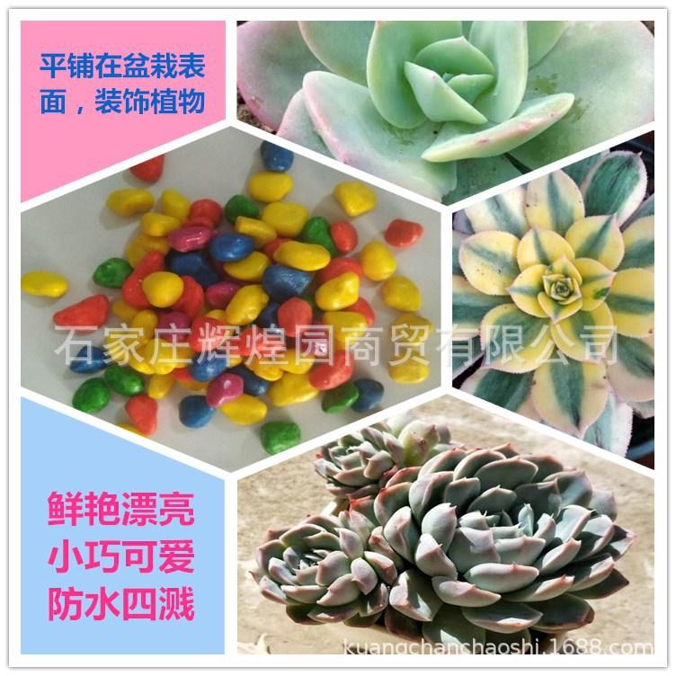 e2dc0c660f9fd2b9b72555adba7077