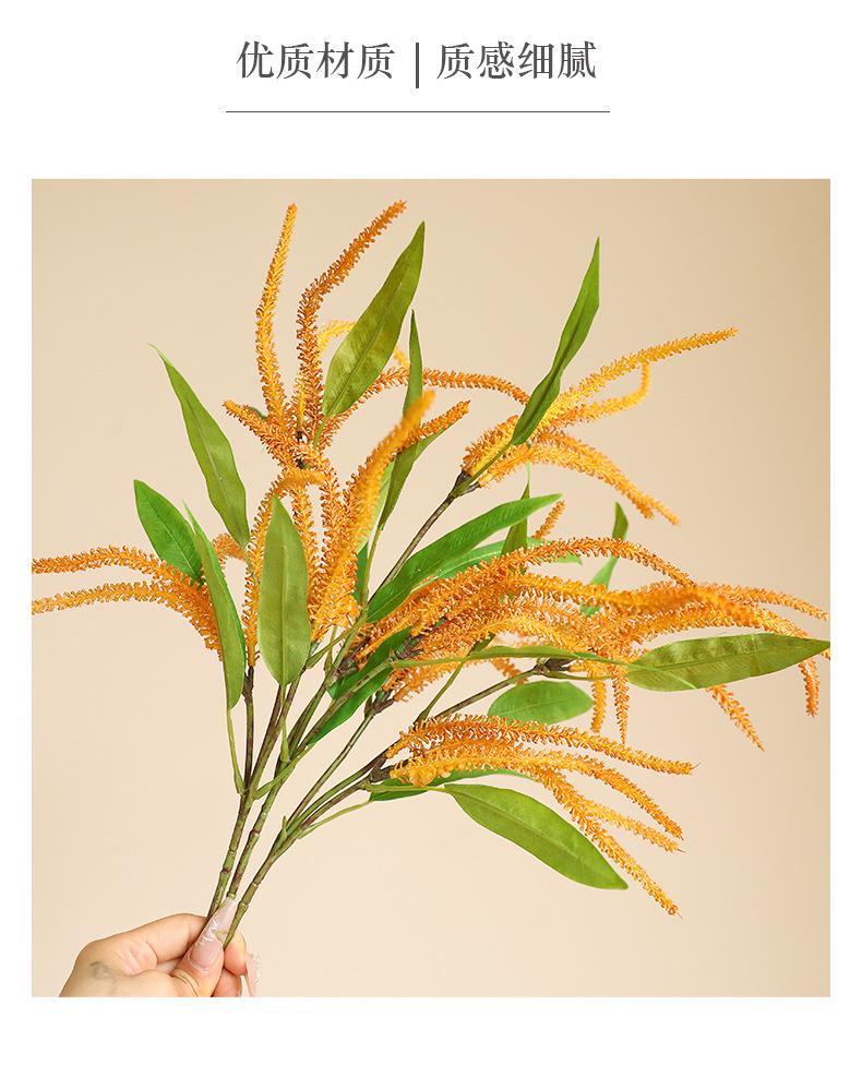 单枝鼠尾草_09.jpg