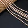 Contas de arroz de pérola natural de água doce requintadas acessórios para joias DIY joias feitas à mão colar produtos semiacabados atacado