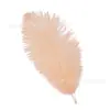 Directo de fábrica 20-25cm pluma de avestruz actuación en escenario Pluma blanca boda decoración DIY pluma de avestruz al por mayor